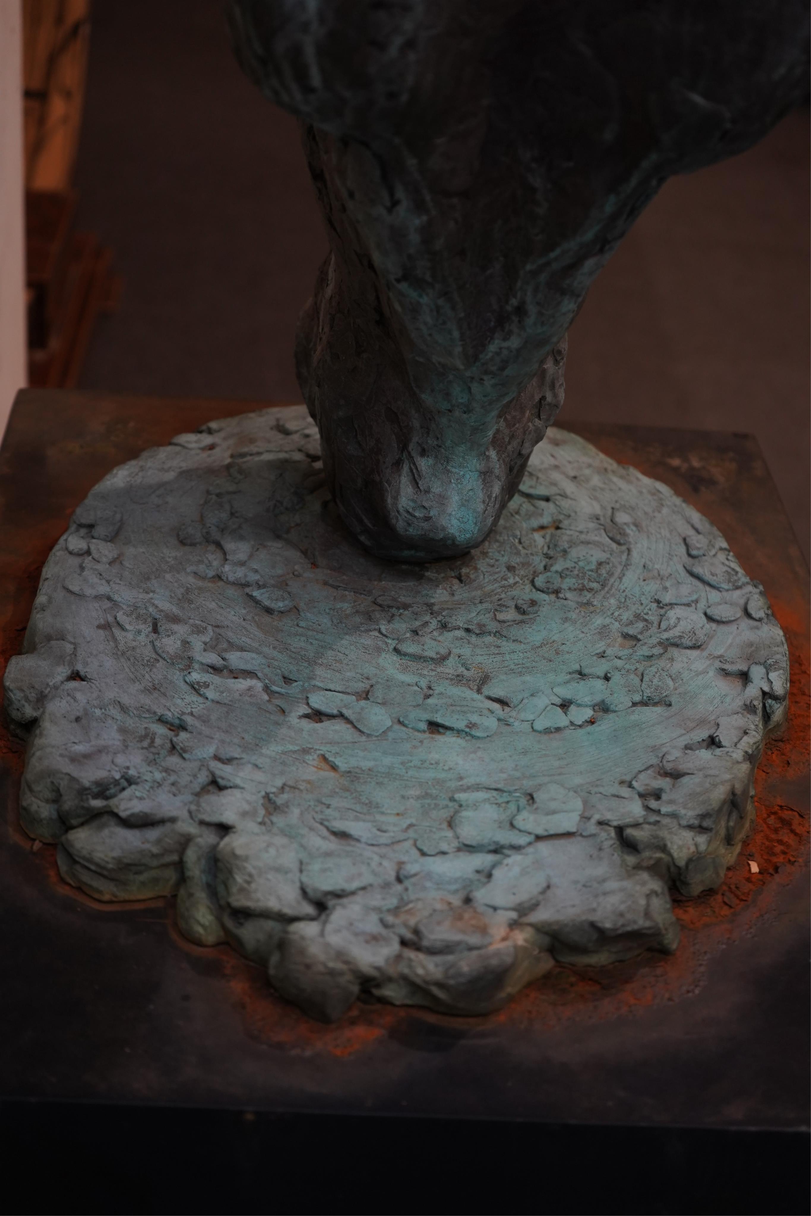 Lucy Kinsella, (b. 1960), 'Drinking Horse'
